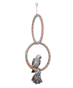 Adventure Bound Coloured Double Ring Parrot Toy